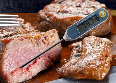 Китай Термометр температуры небольшого термометра сервиса связанного с питанием немедленный для кухни/гриля продается