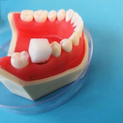 中国 SJ Dental Consumables Medical Surgical Disposable Absorbable Gelatin Hemostatic Sponge for Tooth Extraction 販売のため