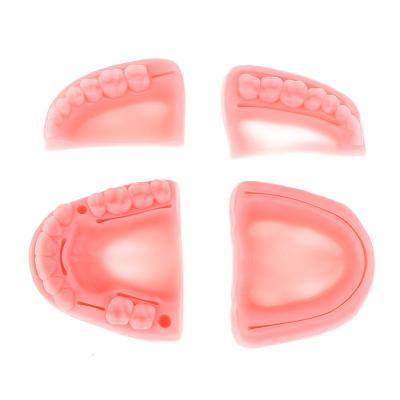 Китай SJ Teeth Suture Practice Dental Suture Pad Oral Models Gum Suture Model for Student Dental Lab Practice продается