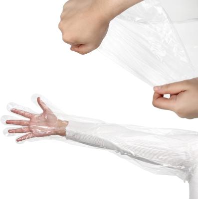 China SJ Veterinary Insemination Rectal Long Gloves Disposable Plastic Full Arm Palpation Gloves for Field Dressing for sale