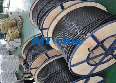 China ASTM Stainless Steel Coiled Tubing Multi - Core Seamless Stainless Steel Pipe for sale