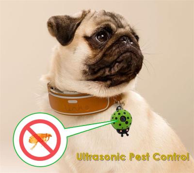 China dog cat pet's ultrasonic insect repellent electronic flea small size mini pet collar for sale