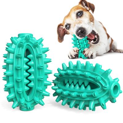 China Puzzle Game Cactus TPR Dog Teeth Cleaning Cute Pet Toys for sale