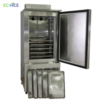 China Hot Export Low Price Small Blast Freezer for Chicken for sale