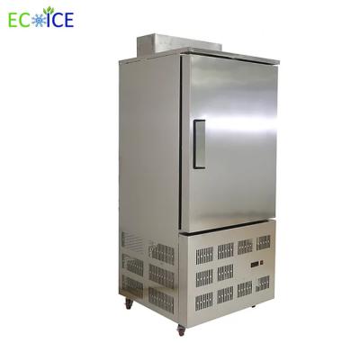 China Hot Sale Commercial Fast Cooling Automatic 10 Trays Blast Freezer for Fish for sale
