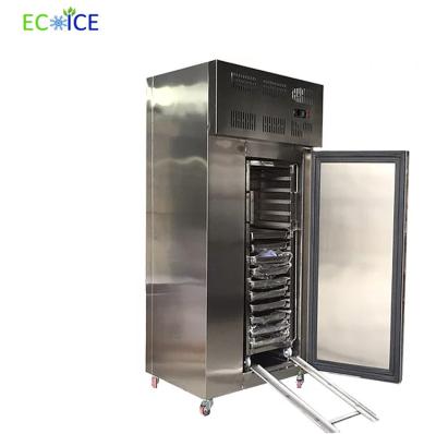 China Temperatura industrial 178 L equipo de enfriamiento rápido del proveedor de China baja del congelador de ráfaga en venta