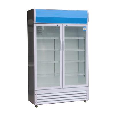 China 6.2A Glass Door Commercial Freezer R290 GAS Merchandising Refrigerator for sale