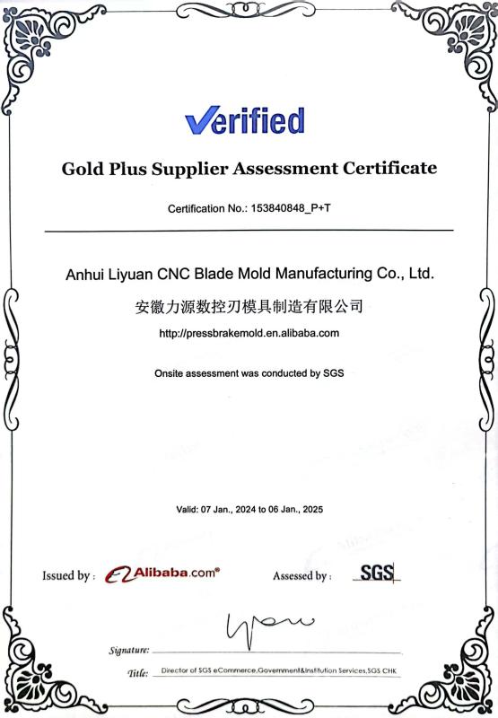 Onsite Assessment Certificate - Anhui Liyuan CNC Blade Mold Manufacturing Co., Ltd.