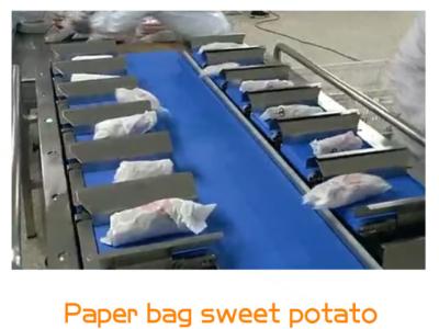 Chine Combinaison principale d'échelle de la ceinture 12 pesant le système de peseur pour le légume sec de nourriture fraîche de seiches à vendre