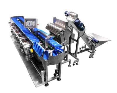 中国 Fully Automatic Selection Weight Sorter Equipment Check Weighing Machine for Classifying Fish Fillet 販売のため