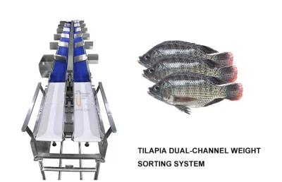 Chine Circular multi Weight Sorting Check Machine Waterproof High Speed Check Weigher Conveyor Machine For Food à vendre