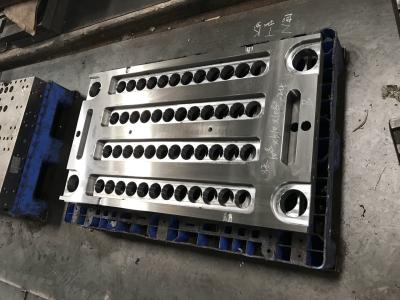 China 48 Cavity Hotter Runner PET Preform multi cavity mould for sale
