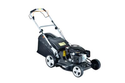 China Portable Gasoline Metal Lawn Mower , Body Self Propelled Lawn Mower 6.5hp for sale