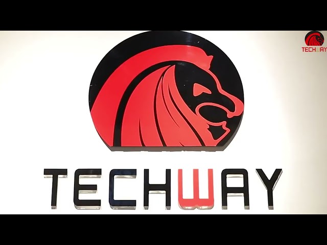 Techway of 15 years professional supplier