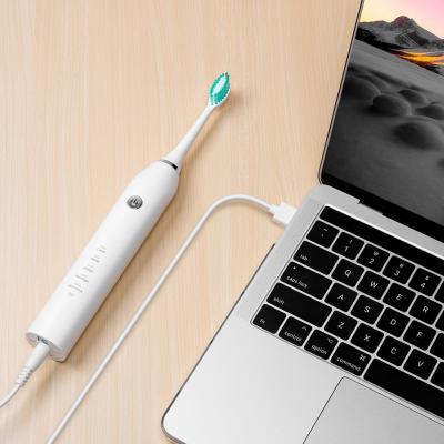 中国 コードレスUSBの電動歯ブラシ、軽量の音波の再充電可能な歯ブラシ 販売のため