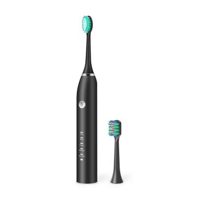 Chine Sonic Battery Toothbrush sans fil, brosse à dents IPX7 électrique imperméable à vendre