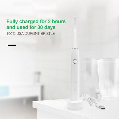 China SCCP Sonic Toothbrush Ultralight elétrico recarregável IPX7 impermeável à venda