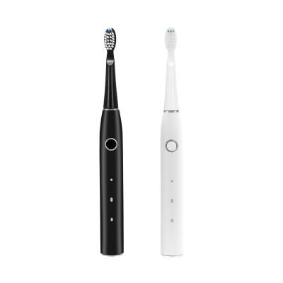 China FDA Practical Electric Sonic Toothbrush 500mAh Battery Powered for sale