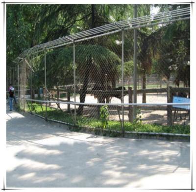 China Flexible Stainless Steel X-Tend Mesh For Dove,Zoo Animal Enclosure Mesh for sale