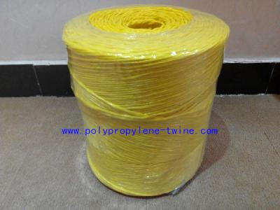 China amostra grátis de empacotamento torcida colorida da corda do polipropileno da guita do feno da banana 22500D à venda