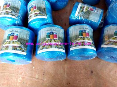 China 22500D Polypropylene Tying Twine for sale