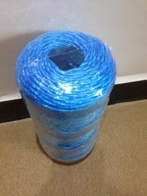 China High Breaking Strength and UV Treated PP Baler Twine , Agriculture Pp Twine for sale