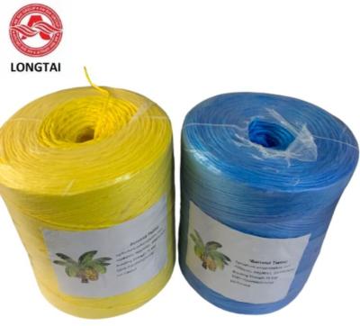 China 2000m/Roll 4kg Dia 2mm High Uv Stabilization Banana Twine Fruit Supporting for sale