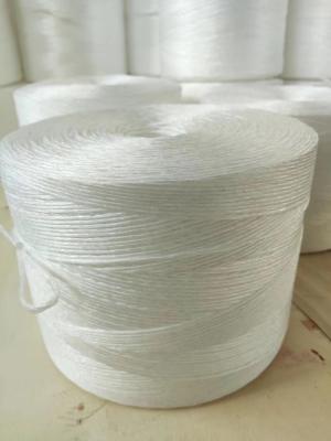 China 1000m/kg 1200m/kg White Polypropylene PP Tomato Grow Tying Strong Twine for Field or Greenhouse Use for sale