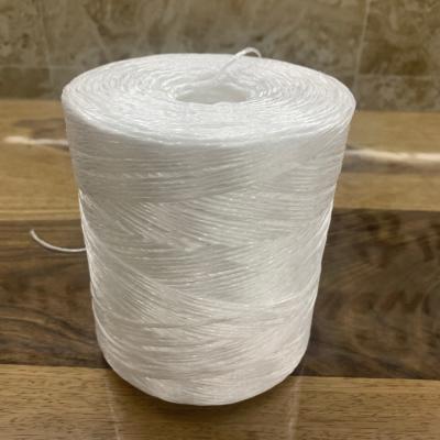 China UV Stability Split Film White 5kg Spool Tomato Plant Twine for Plant Tying and Training Applications for sale