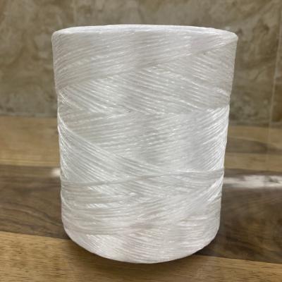 China 1mm 1000m/Kg PP Tomato Raffia String Twine for tying plants polypropilen for sale