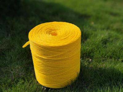 China High Strength PP Twine , Polypropylene Rope With UV Stabilizers for sale