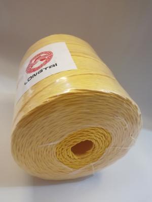 Chine Poids carré 8kg~10kg de petit pain de ficelle de presse de l'agriculture pp/ficelle de emballage de foin à vendre