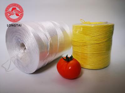 China UV Protection Colorful Agriculture PP Tomato Twine for sale