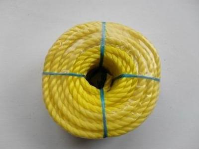 China 4mm 6mm 8mm 10mm 12mm 3-6 Strands Twisted PP Rope For Making Construction Safety Nets for sale