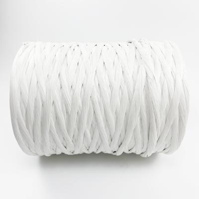 China Transparent 100% PP Wire & Cable Filler Yarn Raw White PP Twine 1-20mm for sale