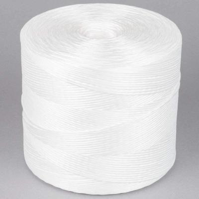 China 5kgs/spool Polypropylene Plastic Raffia Twisted Twine For Greenhouse for sale