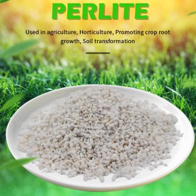 3-6mm Expanded Perlite for Agricultural and Horticultural Planting - China  Perlite, Expanded Perlite