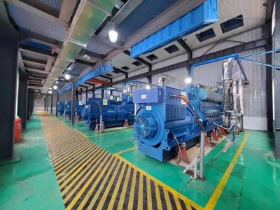 China Envase abierto de la central eléctrica del sistema de generador del biogás del gas natural de 1000KW 1MW en venta