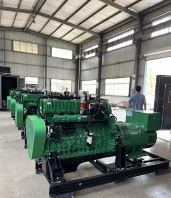 China Industrial Backup Emergency 250KW 300KVA Natural Gas Powered  Electric Generator Set for sale