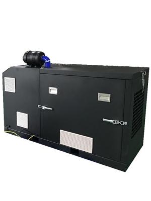 China 20KW 25KVA LPG Generator Set , Liquefied Petroleum Gas Genset LPG 4 Cylinders Water Cooled for sale