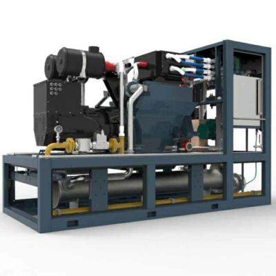 China 3 Phase Biogas Combined Heat And Power Systems 220KW 400V / 230V High Reliability for sale