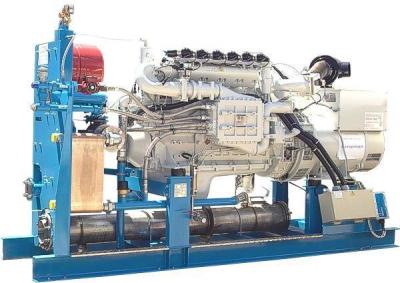 China 60Hz 127V 3 Phase Biogas Generator Set , Biomass Gas Generator Silent / Open Design for sale