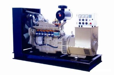 China 280KVA 110V Natural Gas Generator Set , 3 Phase CNG Generator Set CE Certified for sale