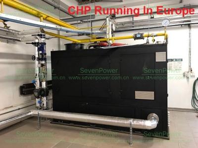 China Environment Friendly Silent 250KW 300KVA Natural Gas Generator for sale