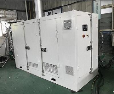 China Sistema de generador del gas natural 220KW con la certificación del CE conveniente para el funcionamiento continuo en venta