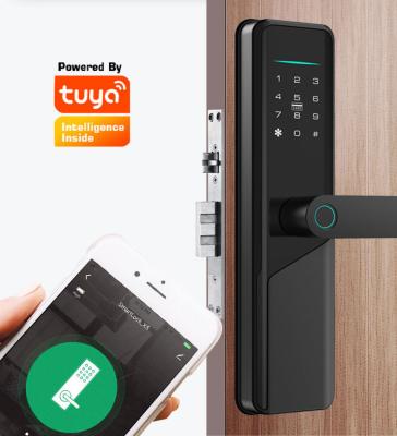 China Wifi Biometric Tuya Smart Door Lock Silver Mechanical Keyless Door Lock for sale