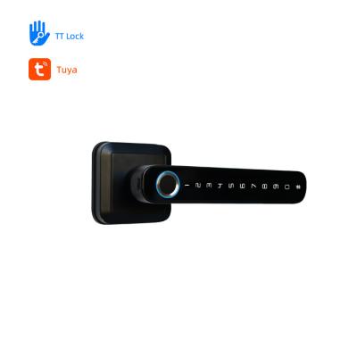 China Remote Control Keyless Entry Smart Lock OEM Biometric Door Lock for sale