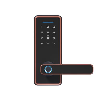 Cina Take Your Security to the Next Level with Tuya Bluetooth Smart Door Locks in vendita