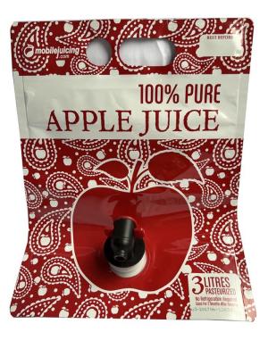 Chine NY Material Bag In Box Liquid Packaging Bib With Spout For Apple Juice à vendre