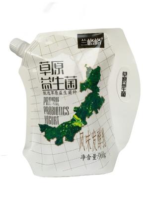 China Rotogravure Print Stand Up Liquid Detergent Bag Co Vriendelijke Easy Pour Bag Custom Capaciteit Te koop